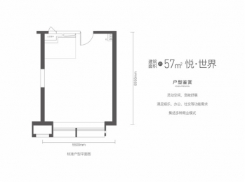 1室1厅1卫 户型图