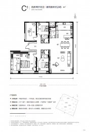 4室2厅4卫 户型图