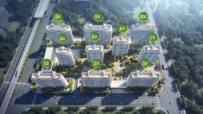 白桦林隐鸟瞰图.jpg