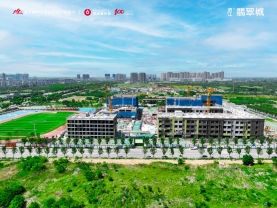 DJI_0237.jpg