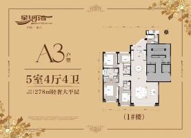 5室4厅4卫 户型图
