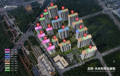 龙翔·未央和鸣