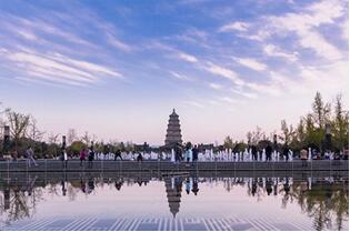 QQ截图20180309140829.jpg
