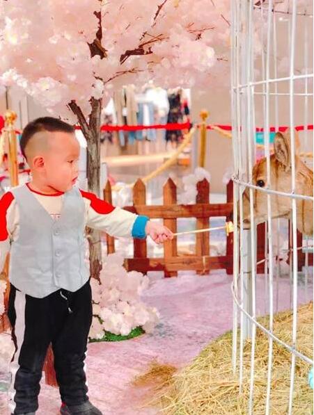 QQ截图20180323152813.jpg