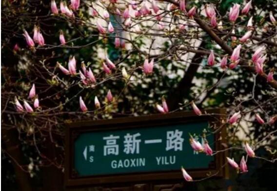 QQ截图20180409114655.jpg