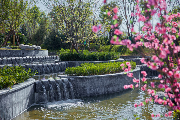 图片10.jpg