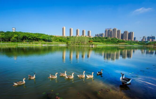 QQ截图20180926151849.png