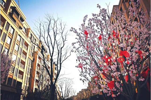 QQ截图20181102111403.png