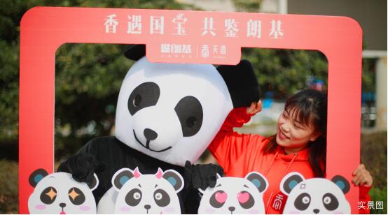 QQ截图20181113102847.jpg