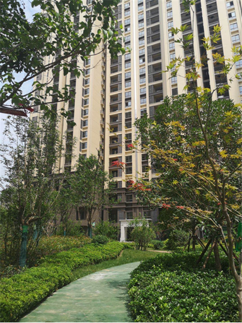 QQ截图20200806162549.png