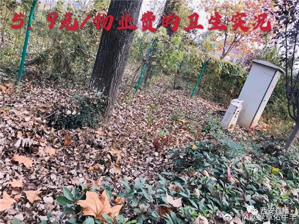 8_副本.jpg