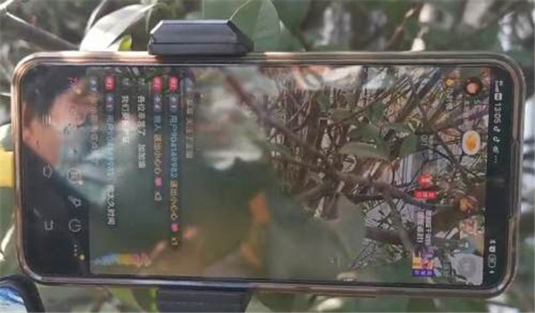1_副本.jpg