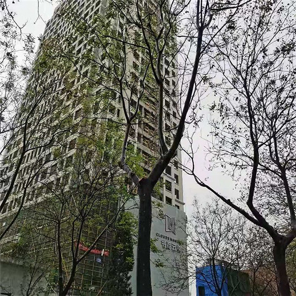 112_副本.jpg