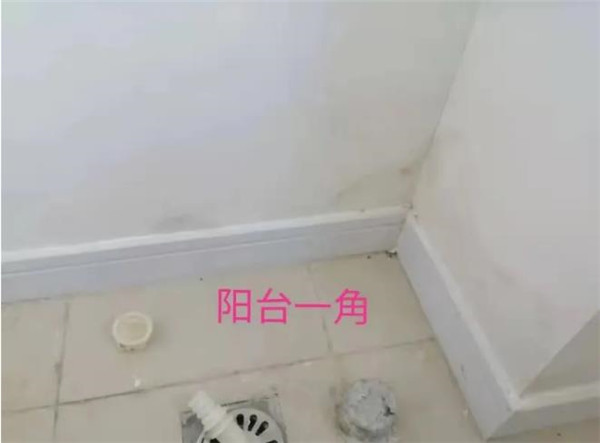 6_副本.jpg